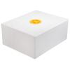 Product image 1 of the product “Universaltank 100 Liter ”