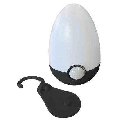 Artikelbild des Artikels “Nachtlicht “