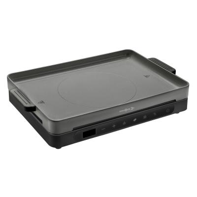 Artikelbild des Artikels “Induktionsgrill Hot Point “