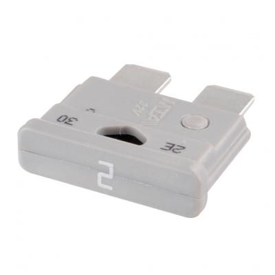 Product image of the product “Flachsicherung, 2 A 2 A”