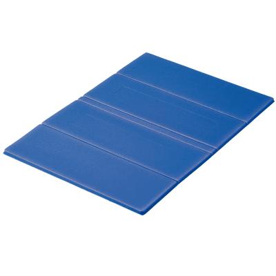 Artikelbild des Artikels “Thermofaltkissen “