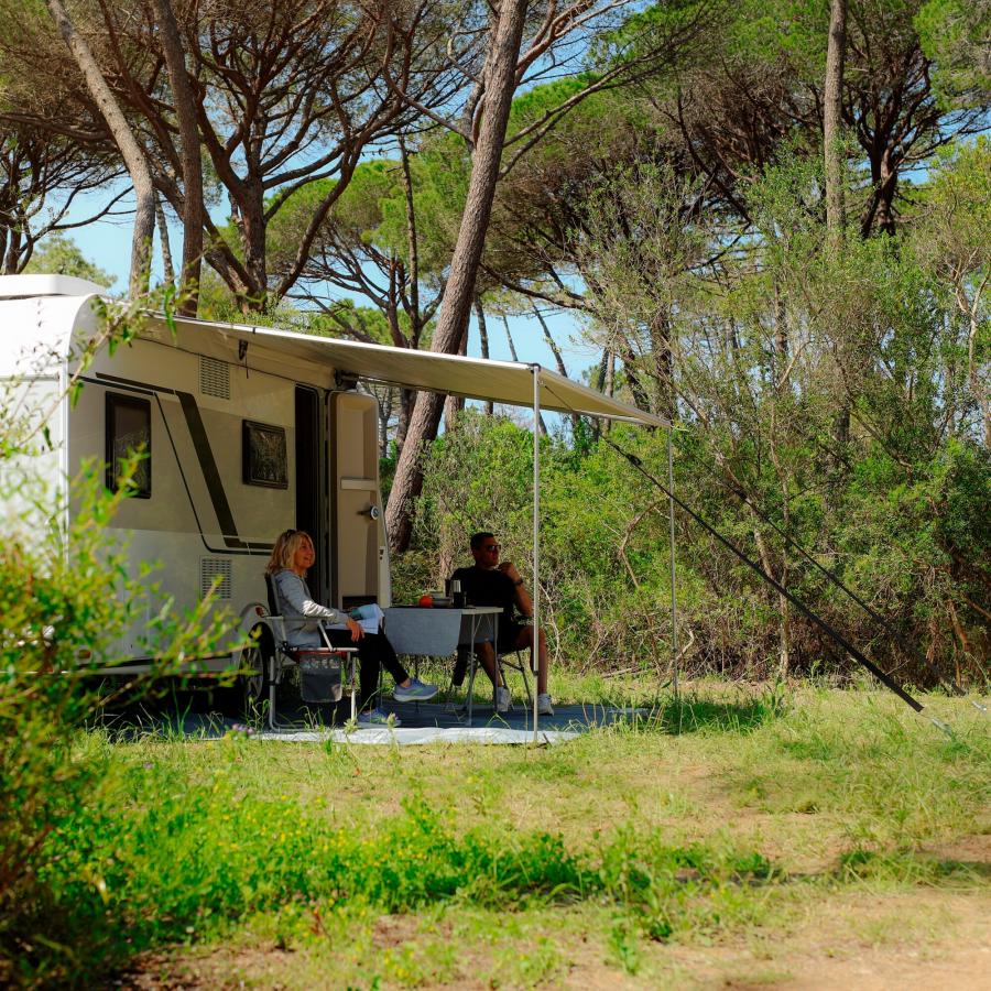 Product image 1 of the product “Markise CaravanStore EVO 450 ”