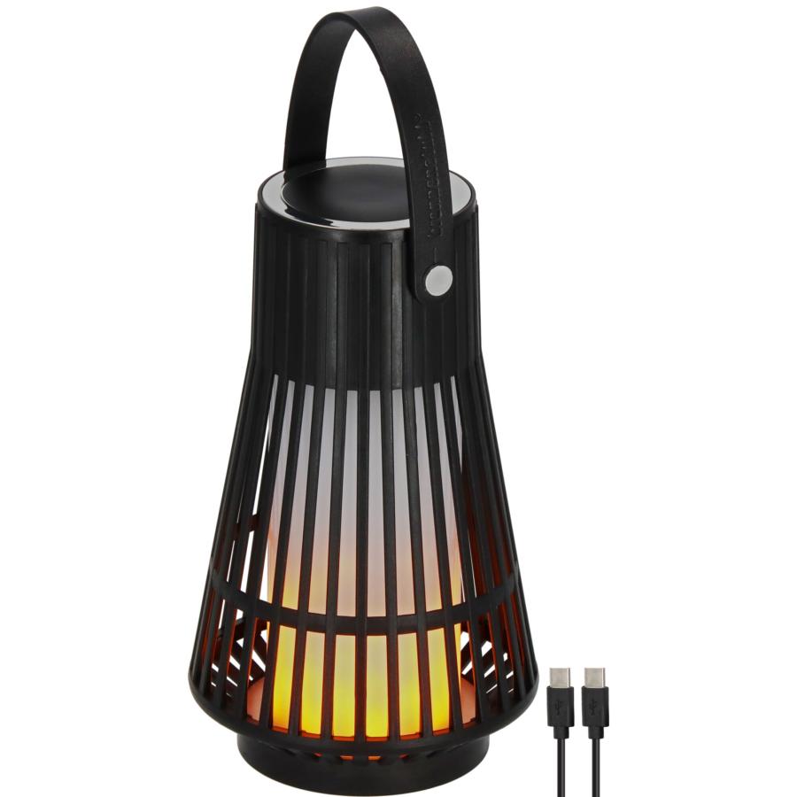 Artikelbild 1 des Artikels “Akku-Outdoor-Lampe FL 100 A “