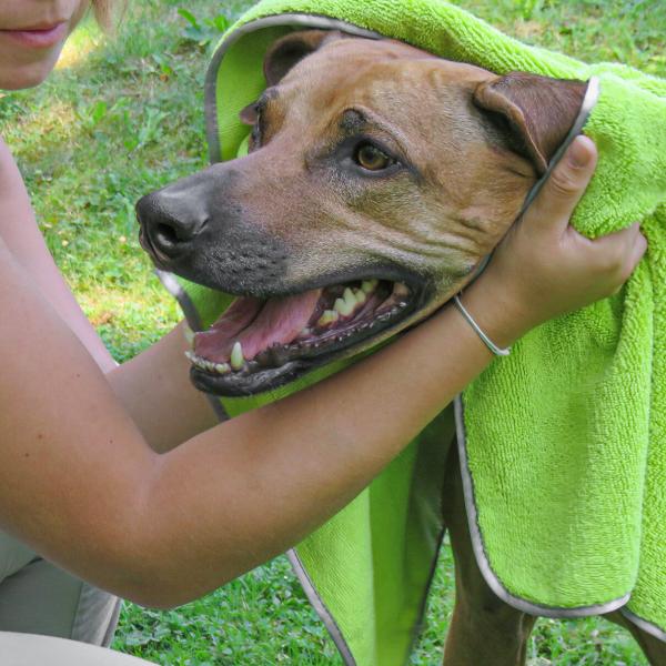 Artikelbild des Artikels “Hundehandtuch Pet Towel “