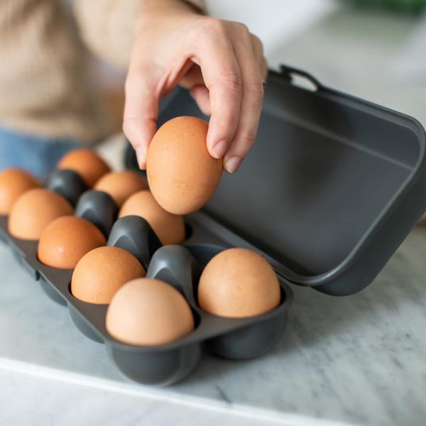 Product image of the product “Eierbox EGGS TO GO, grau grau”