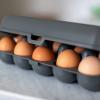 Product image 3 of the product “Eierbox EGGS TO GO, grau grau”