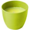 Product image 3 of the product “Citronella Kerze mit natürlichem Citronella-Öl, farblich sortiert ”