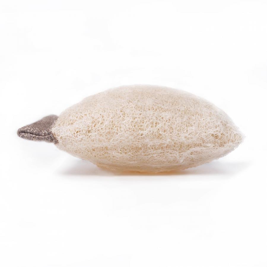 Product image 3 of the product “Clearo Luffa-Schwamm & Ablage für feste Reiniger ”