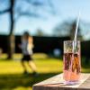 Artikelbild 4 des Artikels “Trinkhalme CHEERS “