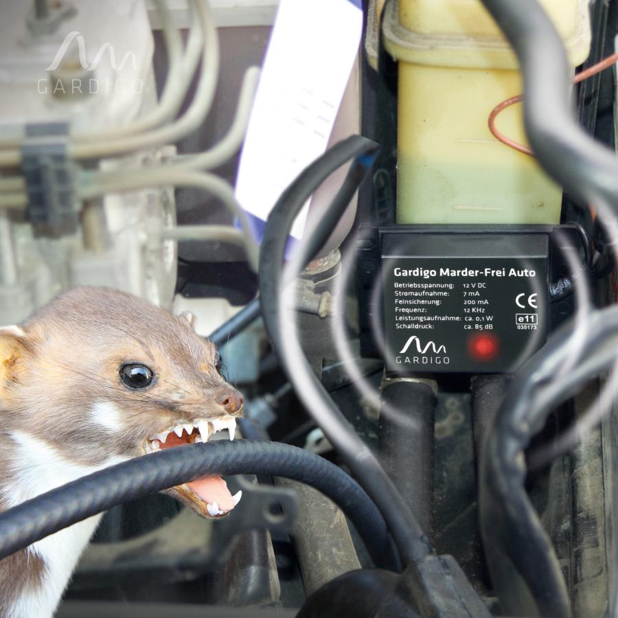 Artikelbild 4 des Artikels “Marder-Frei Auto “