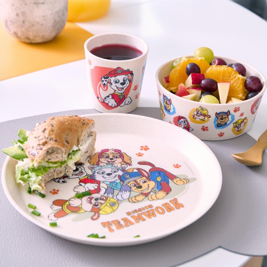 Artikelbild 4 des Artikels “Kindergeschirr Paw Patrol “