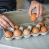 Product image 5 of the product “Eierbox EGGS TO GO, sand sand”