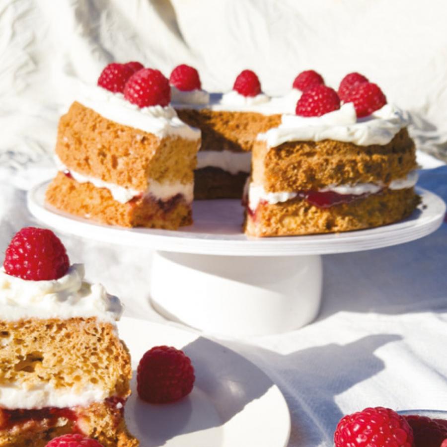 Artikelbild 5 des Artikels “Feine Leckereien Kuchen & Torten – Rezepte für den Omnia Backofen – Backbuch “