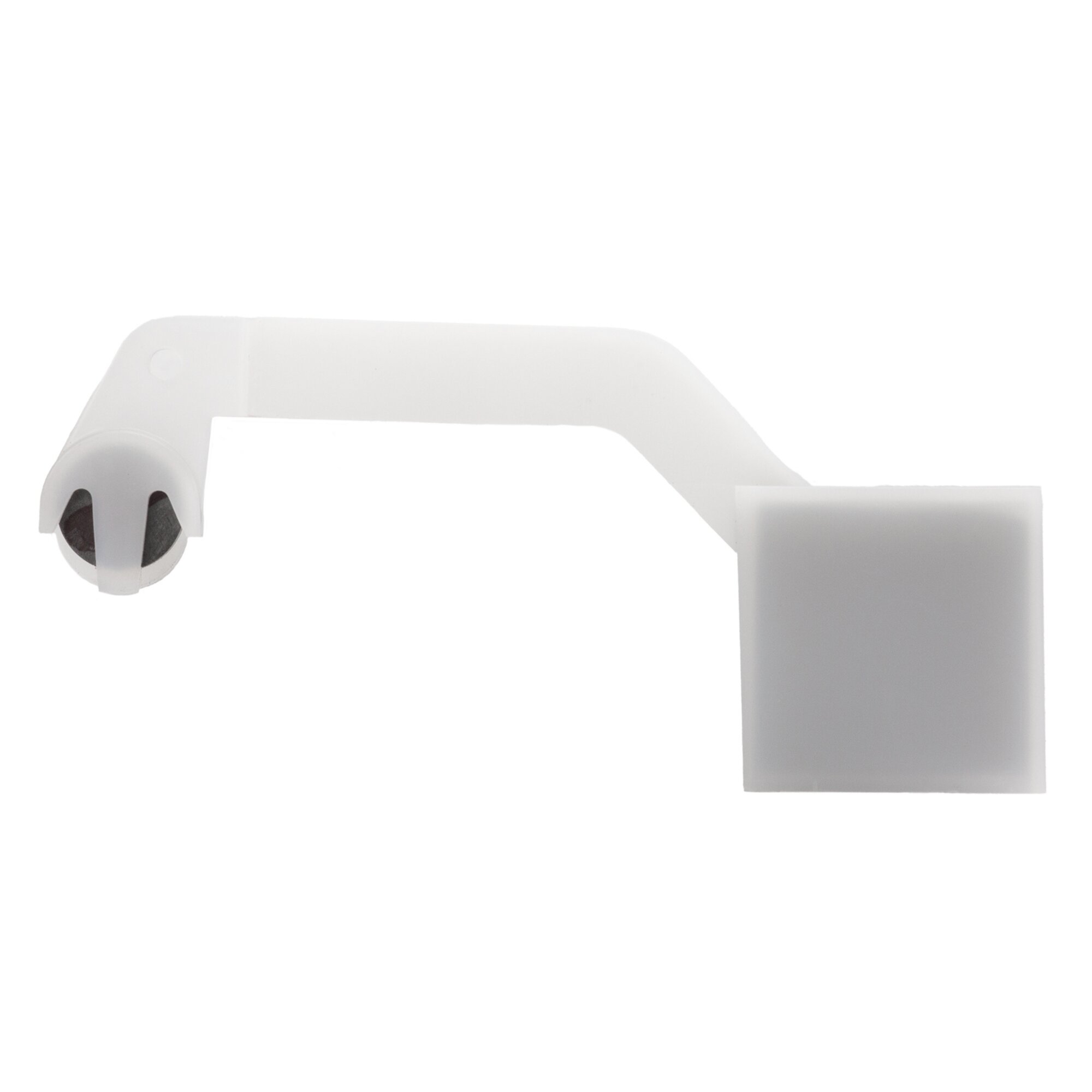 Artikelbild 1 des Artikels “Schwimmer “