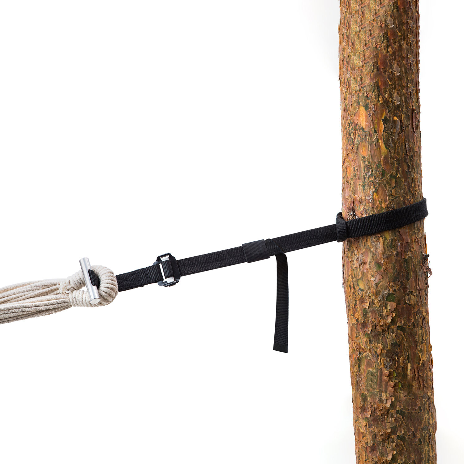 Artikelbild 1 des Artikels “T-Strap “