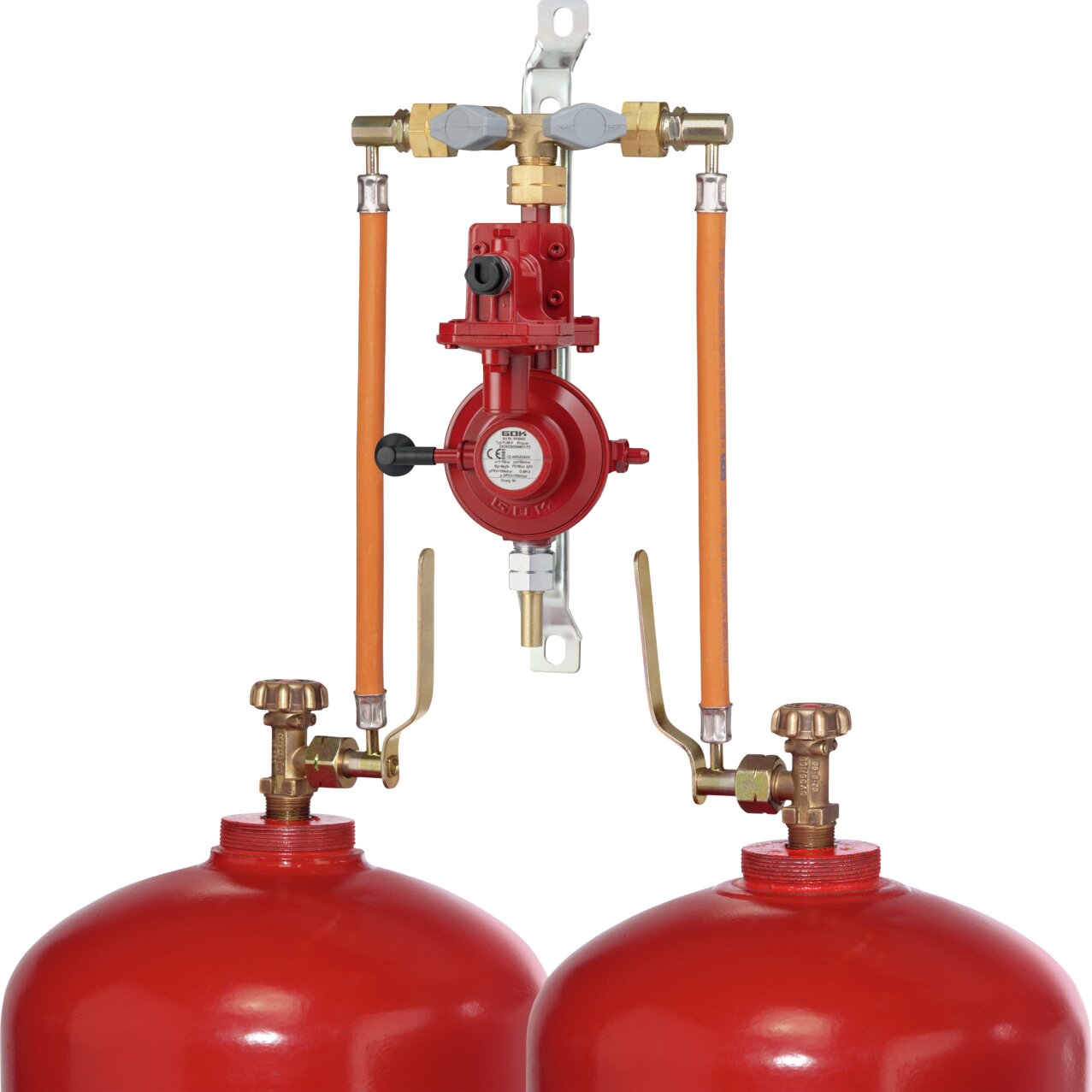 Artikelbild 1 des Artikels “2-Flaschenanlage 4 kg/h “