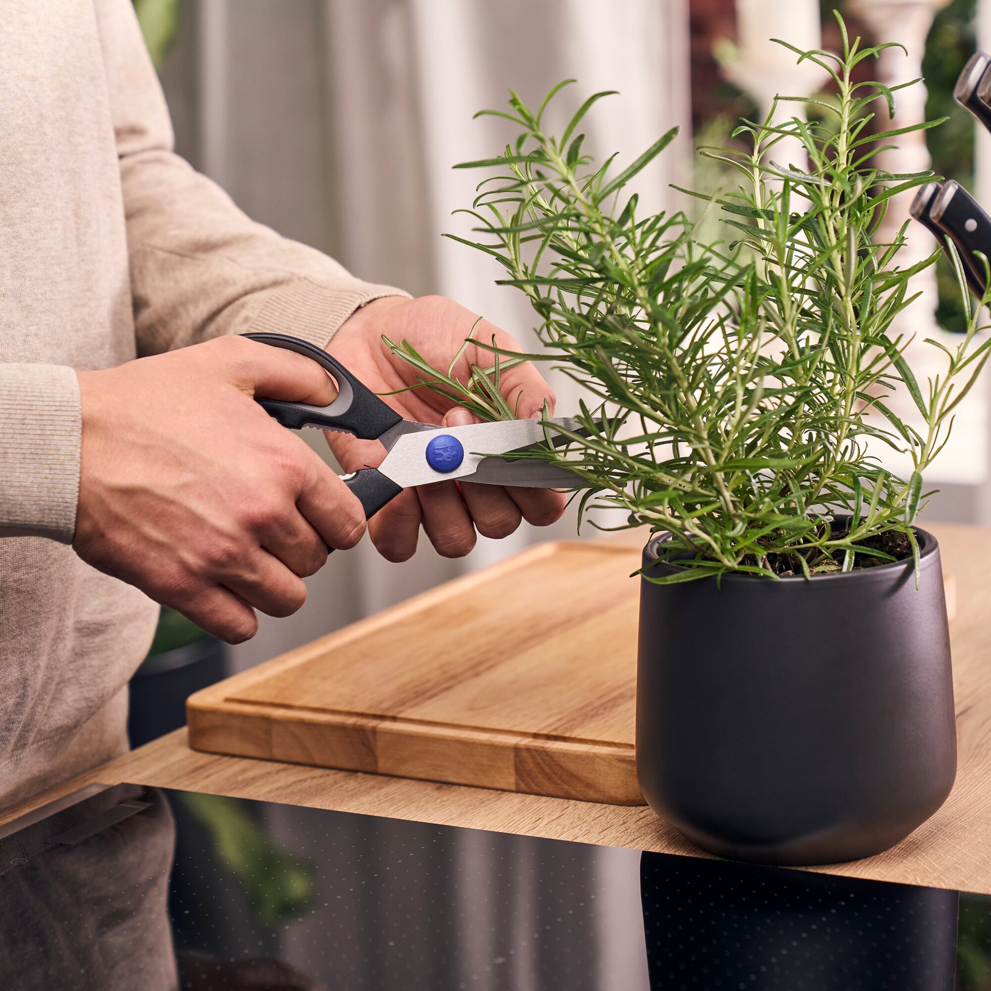 Artikelbild 2 des Artikels “Schere “