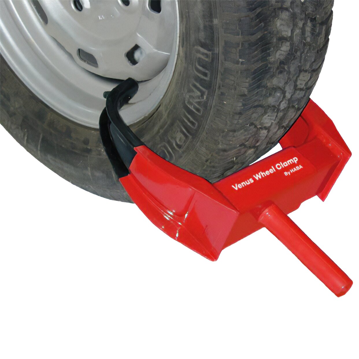 Artikelbild 2 des Artikels “Radkralle Venus “