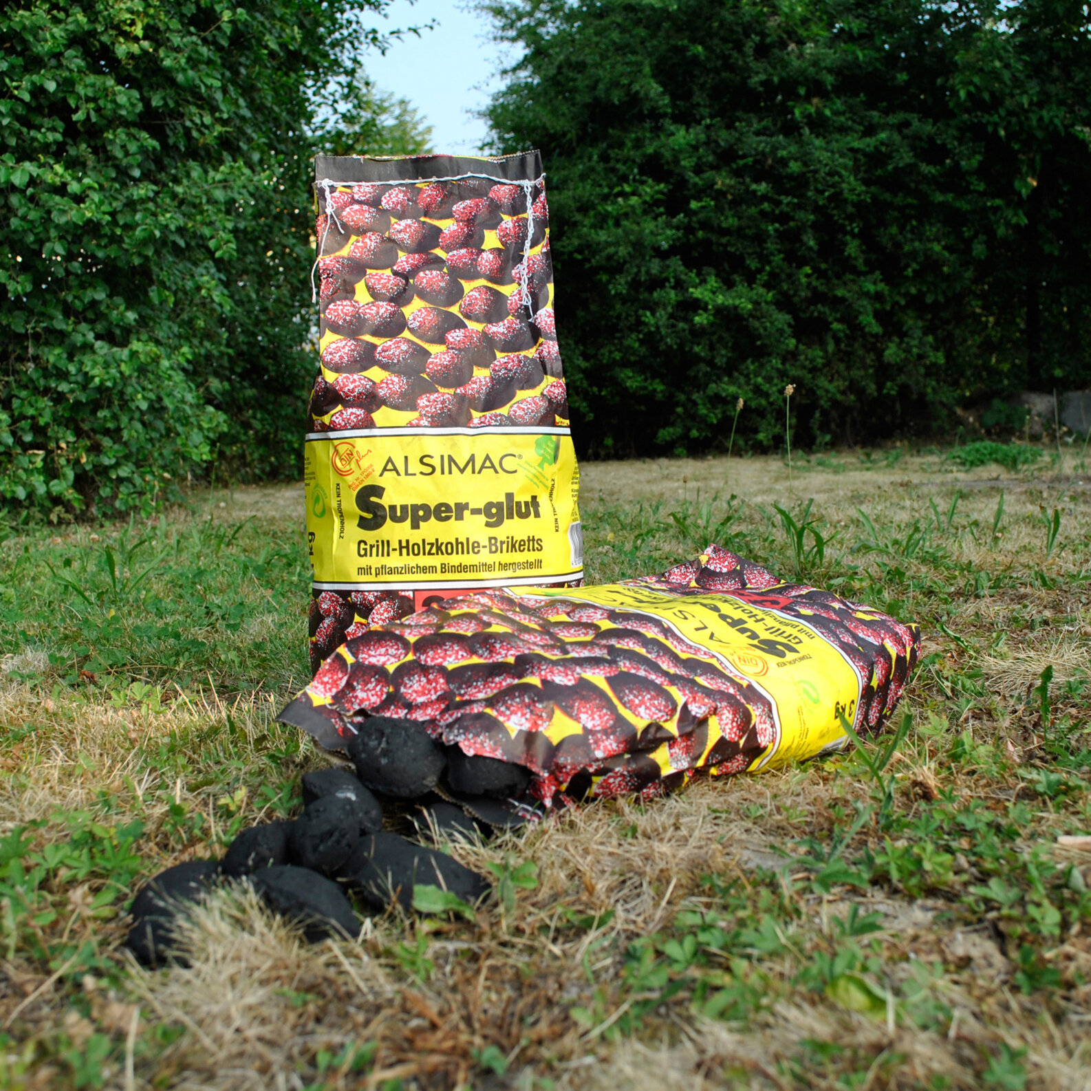 Artikelbild 2 des Artikels “Grillbriketts “