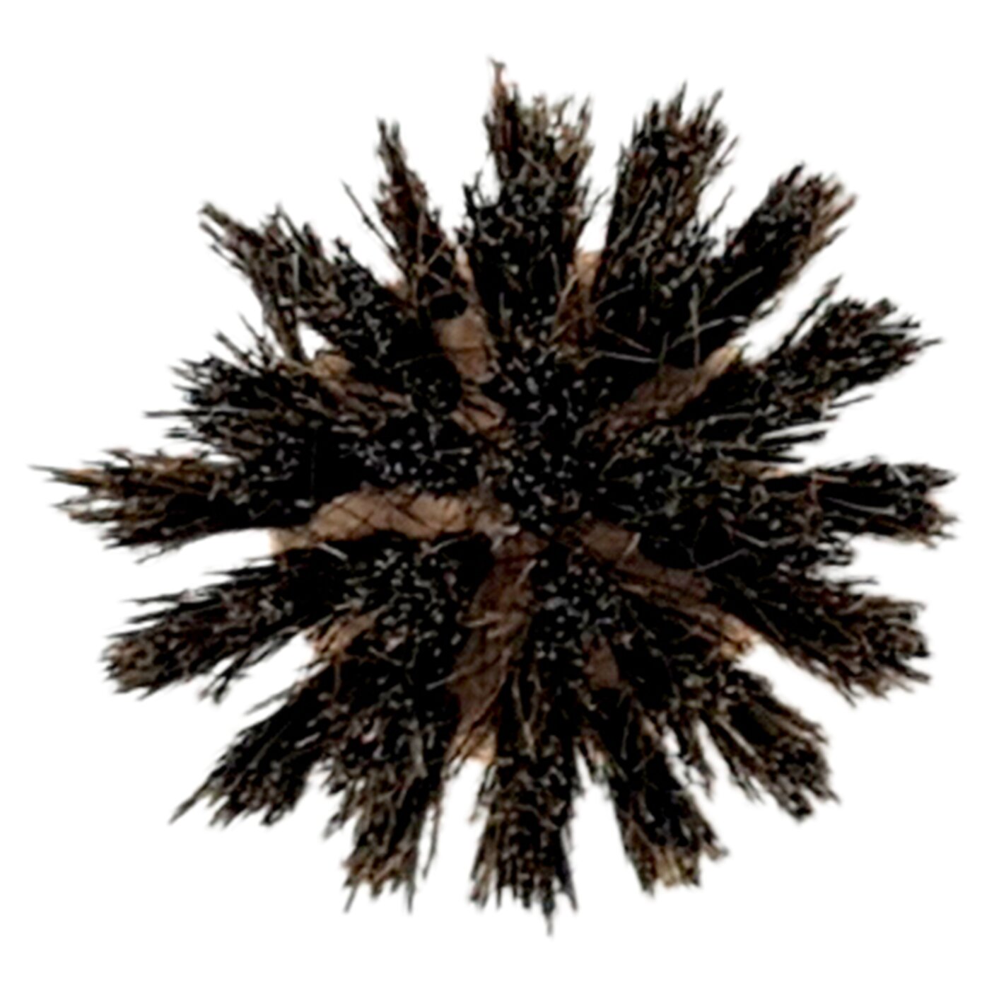 Artikelbild 2 des Artikels “Ersatz Spülbürstenkopf “