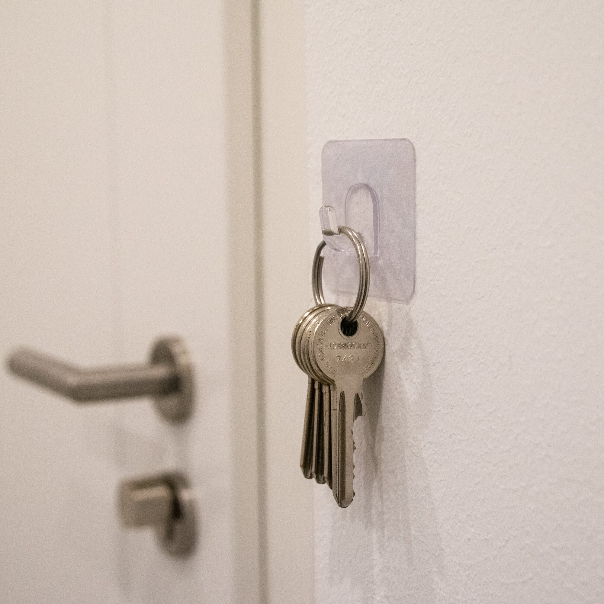 Artikelbild 3 des Artikels “Magische Haken, XS XS“