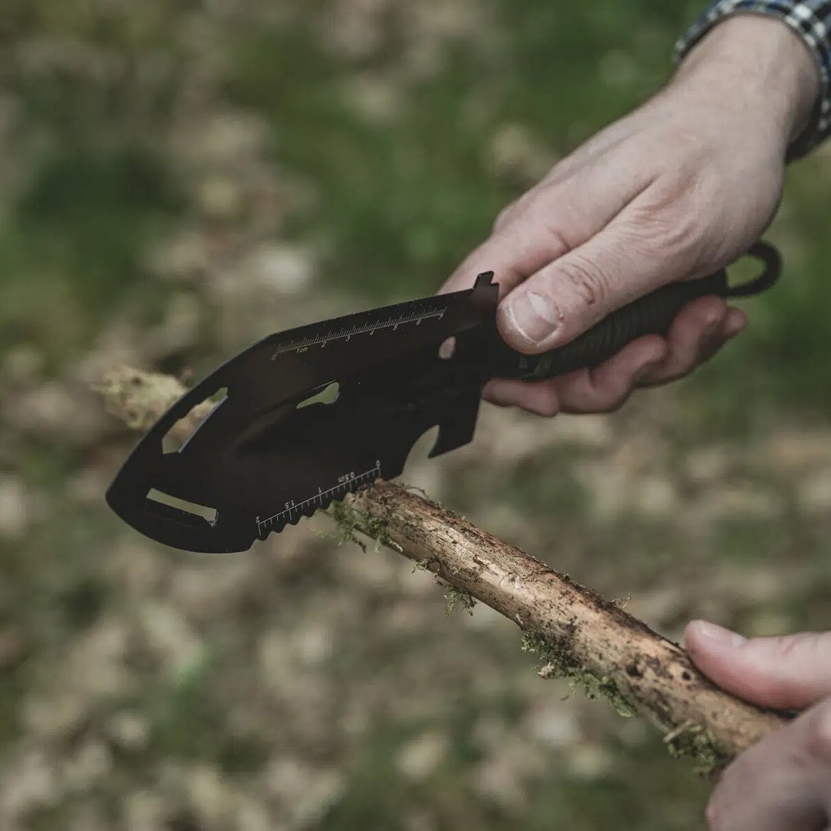 Product image 3 of the product “Handschaufel Hawkweed ”