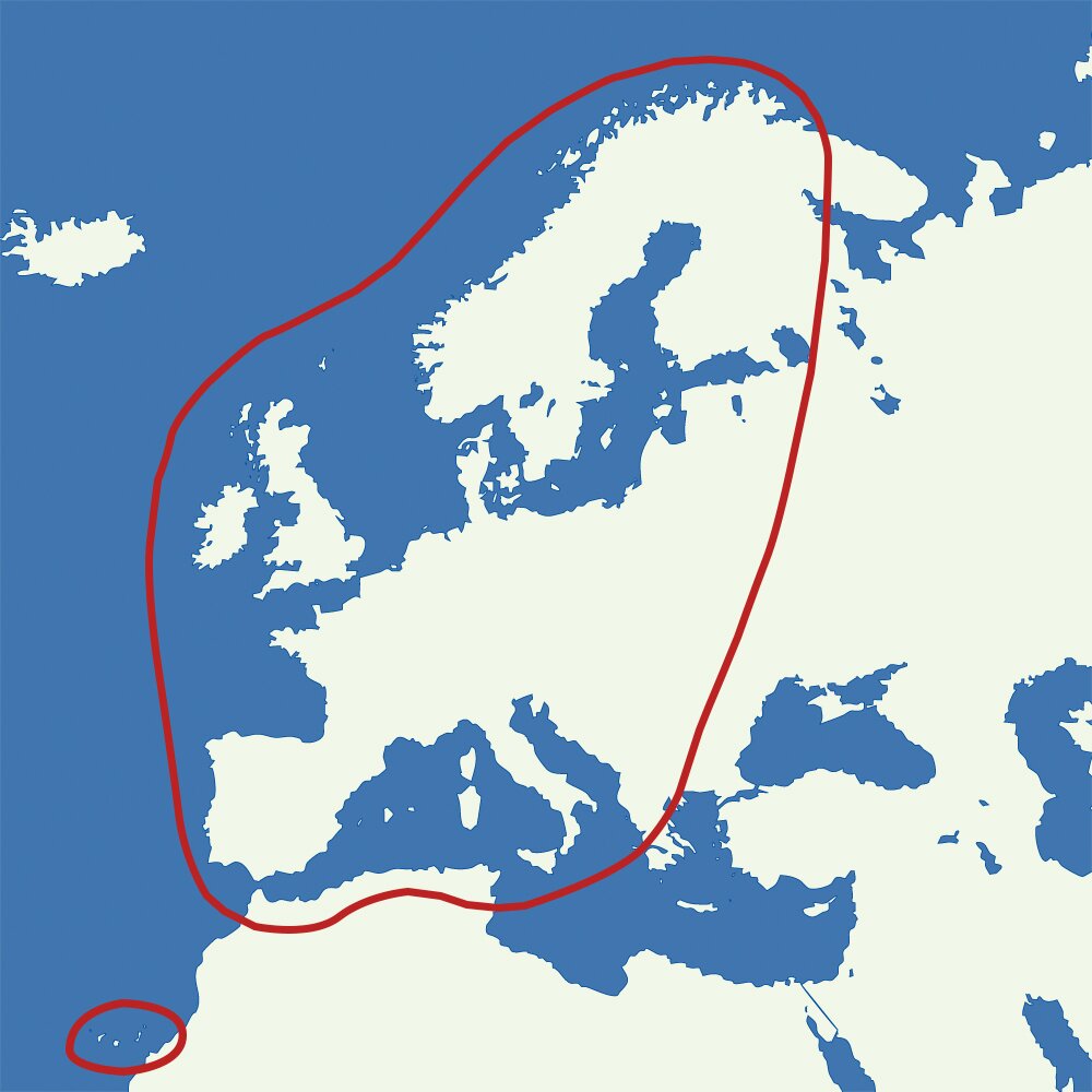 Artikelbild 4 des Artikels “Sat-Anlage AutoSat 2S 85 Control, Single, 85 cm Single | 85 cm“