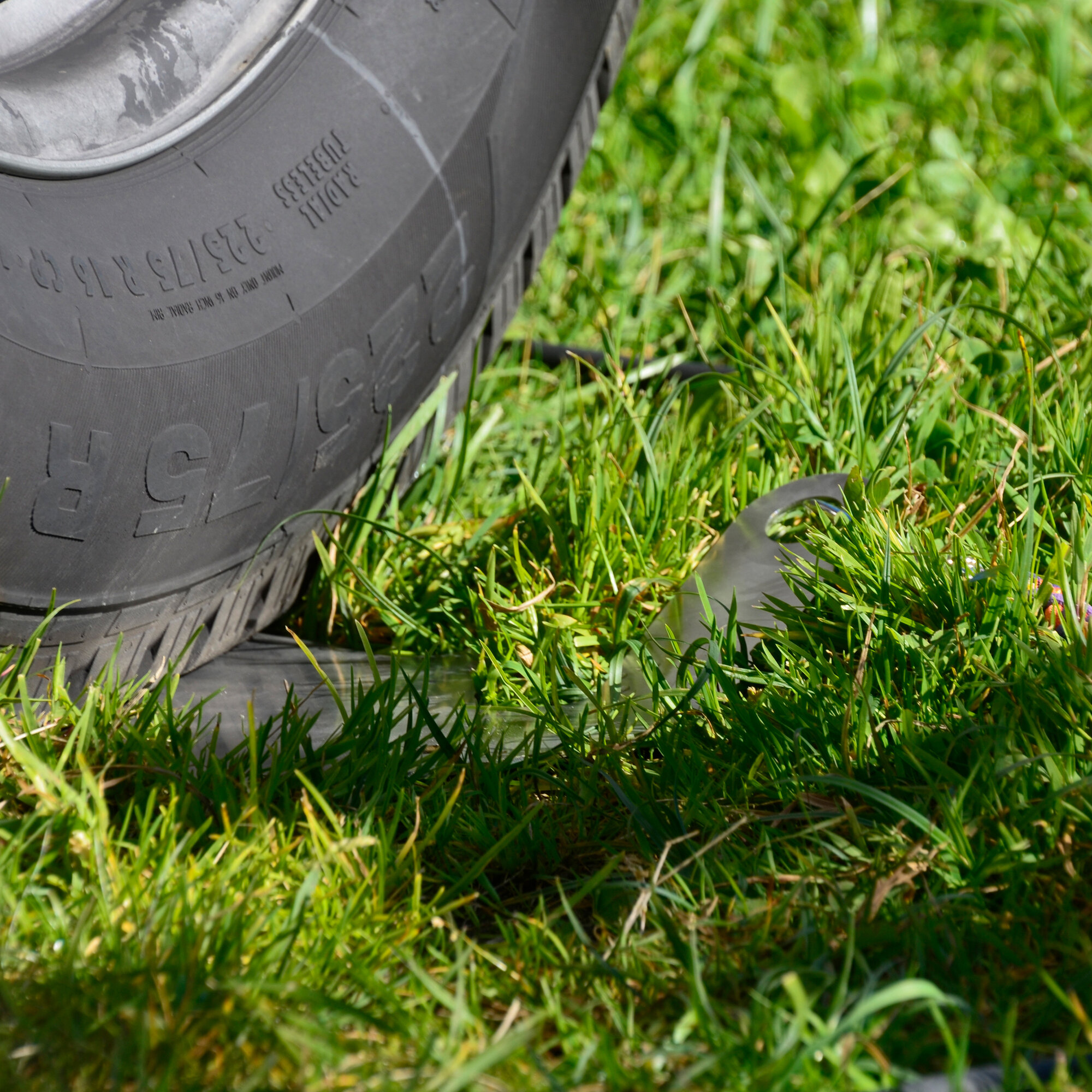 Artikelbild 4 des Artikels “Hundesitter Elefant “