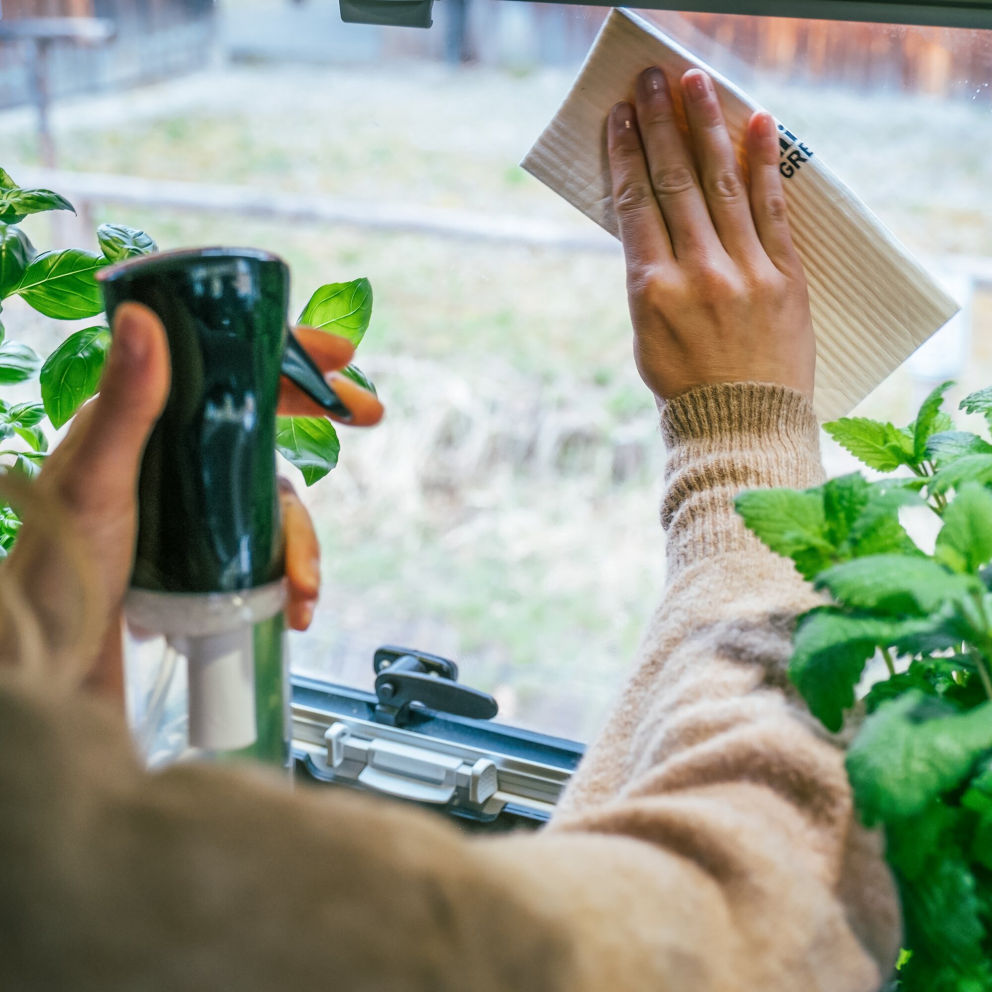 Product image 4 of the product “Vegane Schwammtücher Öko.Schwamm.Tücher. ”