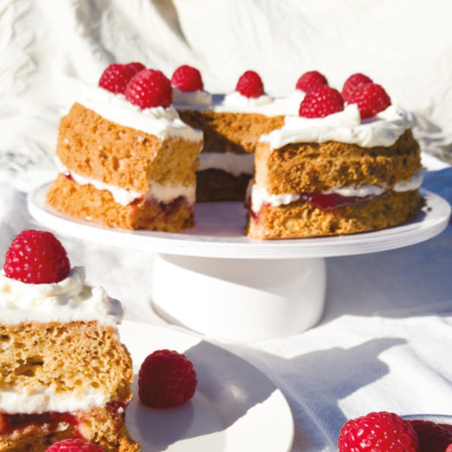 Product image 5 of the product “Feine Leckereien Kuchen & Torten – Rezepte für den Omnia Backofen – Backbuch ”